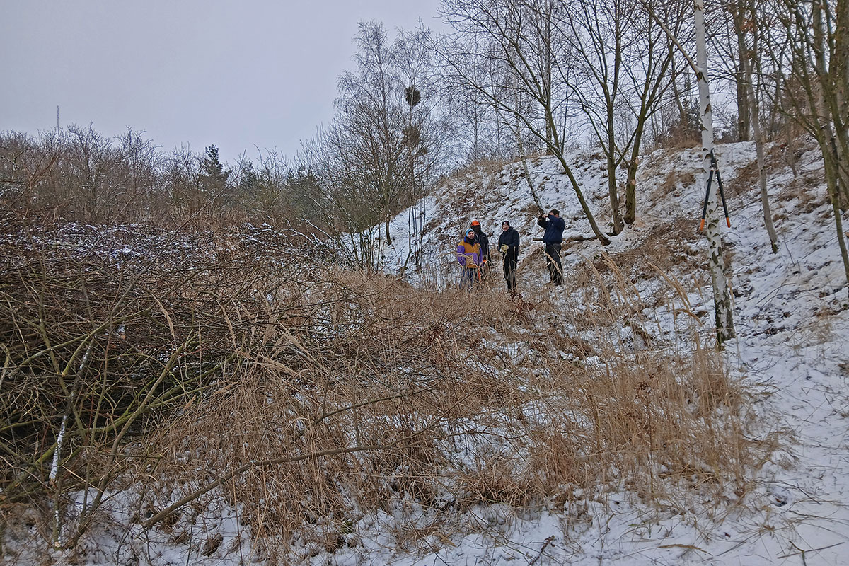 Trialteam vor schwer durchdringbarem Gestrüpp